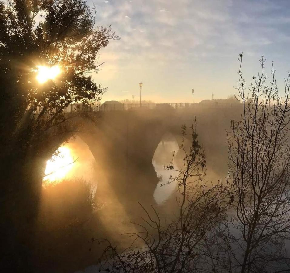 A Los Ojos Del Rio Duero Zamora Luaran gambar