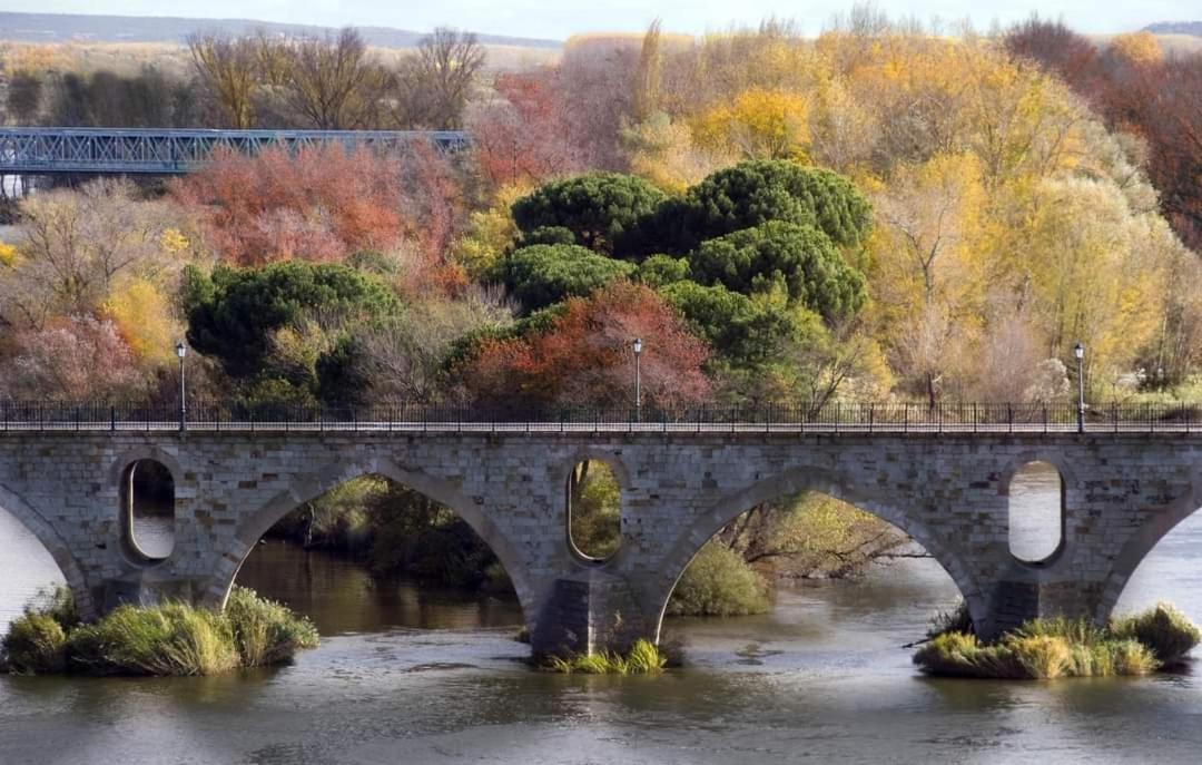 A Los Ojos Del Rio Duero Zamora Luaran gambar